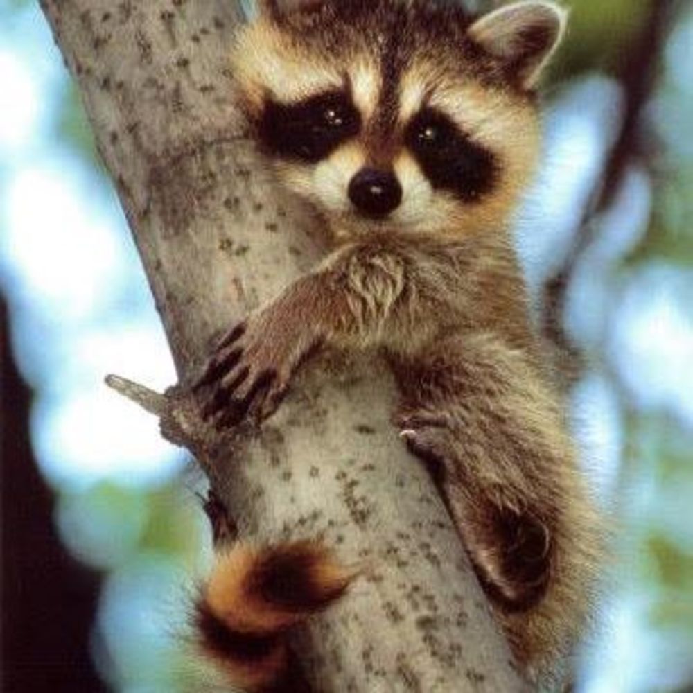 Meet your Posher, Marcia